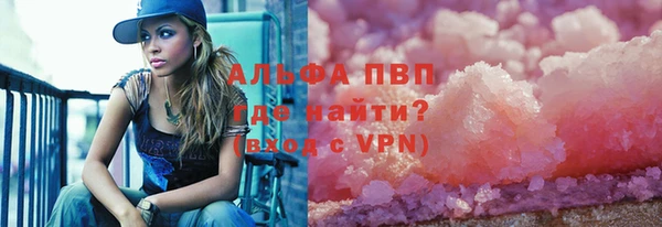 прущие грибы Беломорск