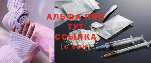 прущие грибы Беломорск