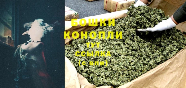 прущие грибы Беломорск
