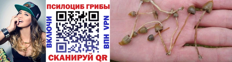 Псилоцибиновые грибы прущие грибы  Короча 
